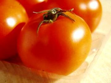 الطماطم البرتقالية قد يفوق في فوائده الصحية طماطم الحقل الحمراء العادية