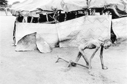 المجاعة في افريقيا