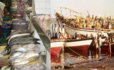 القطاع السمكي في اليمن