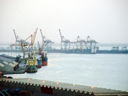 المنطقة الحرة/ إرشيف