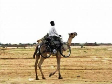 مرجعك للقديم