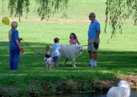طريقة جديدة للحفاظ على الأطفال من الضياع في المتنزهات العامة والأسواق