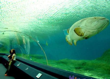 ‎مدن تحت البحر