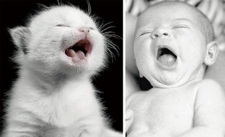 سبحان الله على هذا التشابه في بعض العمليات البيولوجية بين الإنسان والحيوان