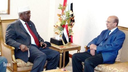 د. القربي يلتقي وزير الخارجية الصومالي