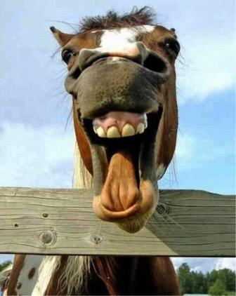 أحلى
ضحكة
!!