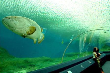 مدن تحت البحر