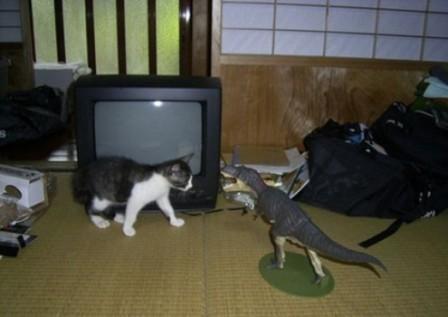 قطة حذرة من دمية لديناصور