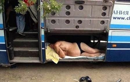 يبدو أن النوم في الحافلات أكثر راحة