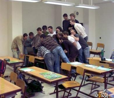 يا ترى على ماذا يتهافتون؟!