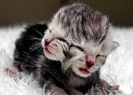 سبحان الله ..