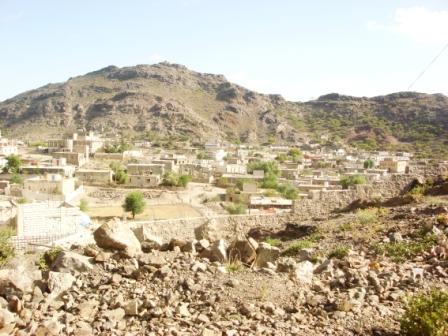 مدينة الضالع
