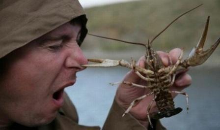 بدون تعليق !