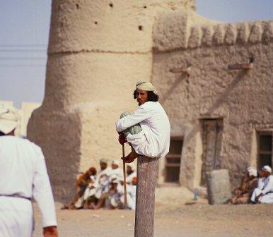 يبدو أن الجلوس على الأعمدة أكثـر راحة