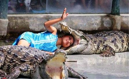 ماذا لو أطبق التمساح فكيه ؟!