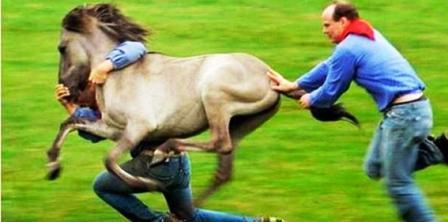 لقطات نادرة