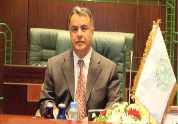 محمد الربيع