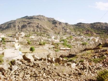 محافظة  الضالع